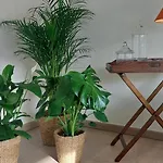 Cosy شقة