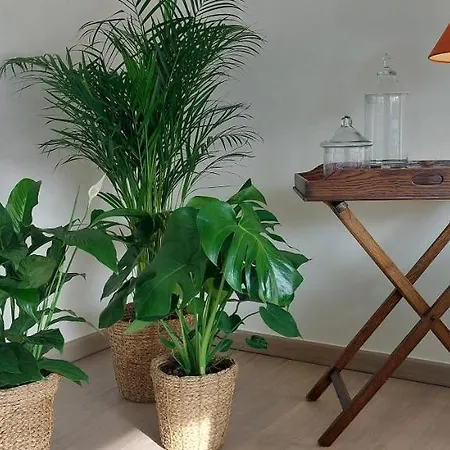 Cosy Διαμέρισμα